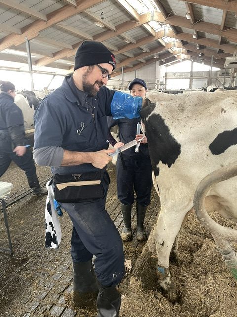 Services d'implantation embryonnaire